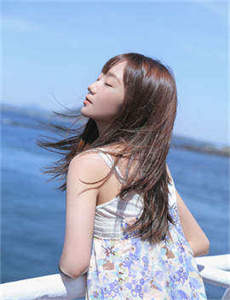 欧美viboss de