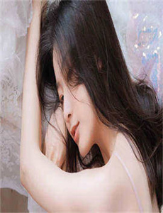 云奇飞行日记全集