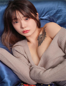 锦绣南歌电视剧免费